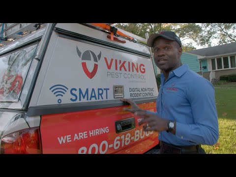 A Day in the Life of a Viking Pest Control Technician