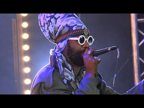 Zion Train & Fitta Warri (Jam.) @ Ostróda Reggae Festival 2014