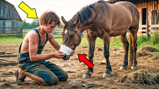 Farmer's Son Nurses Injured Horse — Months Later, It Returns With A Life Saving Warning!