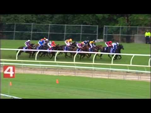 Pierro - George Ryder Stakes (Gr.1)