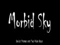 David Thomas and Two Pale Boys - Morbid Sky.wmv