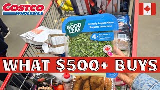 COSTCO CANADA Shopping | New Costco Haul
