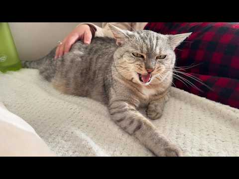 YouTube 썸네일