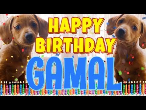 Happy Birthday Gamal! ( Funny Talking Dogs ) What Is Free On My Birthday