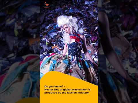 Bamboology Trends #shorts