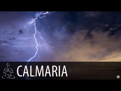 🎧 STORM ~ Heavy Rain, Thunder, Nature ~ 8 hours of sound ~ Relax, Sleep, Calm ~ ♫001