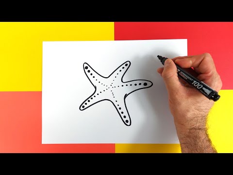Comment dessiner une étoile de mer