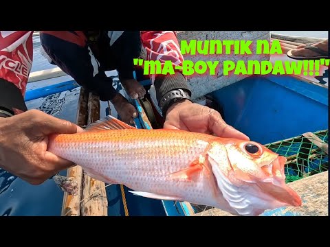 vlog415- Dulawan fish sa Longline Fishing Part 1