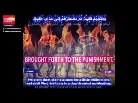 download lagu mp3 mp4 Surah 31 18, download lagu Surah 31 18 gratis, unduh video klip Surah 31 18