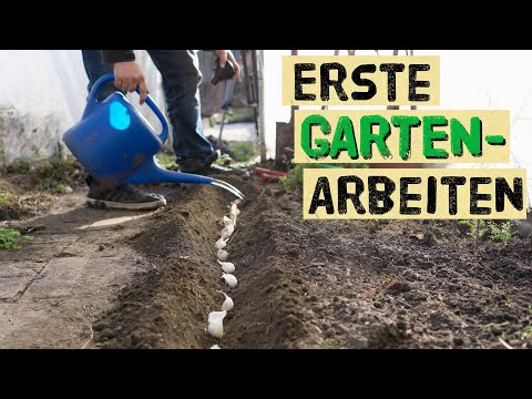 First gardening tasks of the year - what is useful and what is harmful for the vegetable garden?