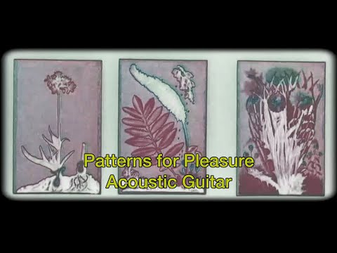 Patterns for Pleasure  - Acoustic Guitar  - Poetic Devices