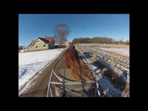 Interval training, Stall Jonasson 24 02 2017