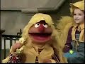 Sesame Street 3911