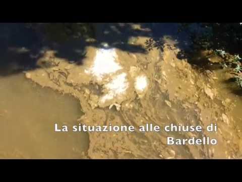 Il drammatico inquinamento nel Lago di Varese