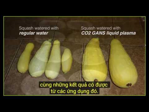 2016 12 10 AM Public Teaching in Vietnamese - Buổi giảng công cộng bằng tiếng Việt