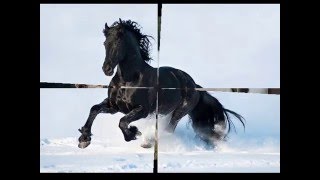 Charlie Allen  -  You Wouldn t Know love