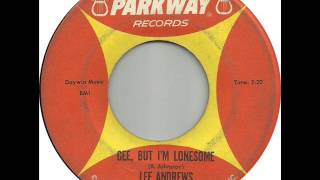 Lee Andrews (& Grp.) - Gee, But I'm Lonesome (Parkway 860) 1963