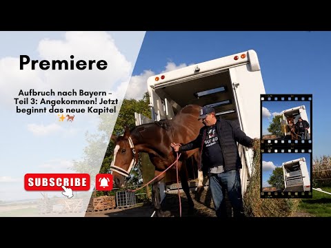 Aufbruch nach Bayern – Teil 3: Angekommen! Jetzt beginnt das neue Kapitel ✨🐎