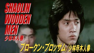 少林木人巷 (Shaolin Wooden Men) 1976 Action Highlights