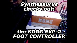 Video thumbnail for 🎹 Korg Foot Pedal EXP-2 first check by Synthesaurus by Synthesaurus Rex