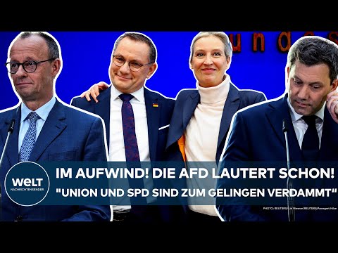 DEUTSCHLAND: Im Aufwind! Die AfD lauert schon! "Union und SPD sind zum Gelingen verdammt!"