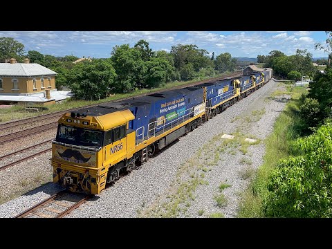 Pacific National NR66, NR106, NR69 & NR102 with 4BS4 at East Maitland - 13/2/25