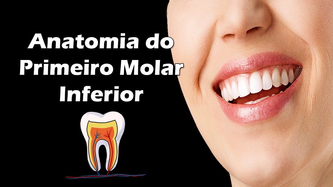 Aula de Anatomia Dental - Anatomia do Primeiro Molar Inferior - Dente 36 e Dente 46