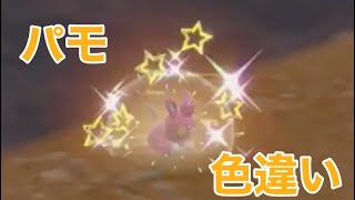ポケモンSV　開始1分でパモの色違い出た！　大量発生色違い厳選