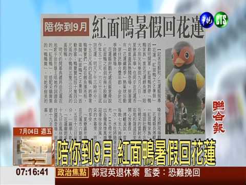 陪你到9月 紅面鴨暑假回花蓮