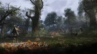 Skyrim SE 2021 - Modding - Custom Whiterun with new Trees - BlubboDE