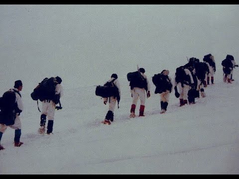 Battle of Zahle (1981)