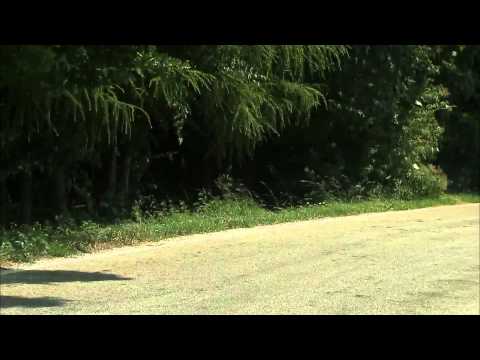 Driving Shots of the BMW 6 Series Coupe