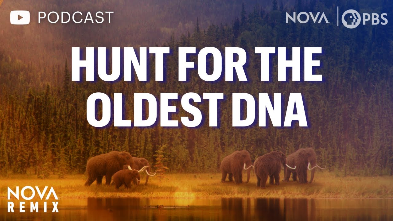 [PODCAST VERSION] Hunt for the Oldest DNA | NOVA Remix