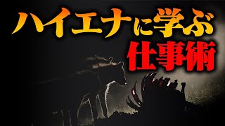 生態学用語としての「ニッチ」 - ハイエナがエサに困らない本当の理由#120