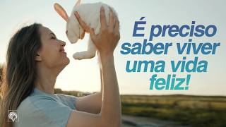 ✨ Viva Feliz! A Promessa Vai Chegar no Tempo Certo