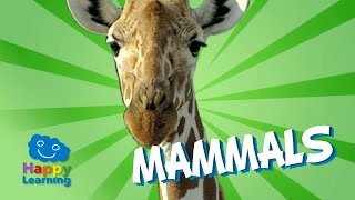 Download lagu Mammals | Educational Video for Kids mp3 Download lagu Mammals | Educational Video for Kids mp3