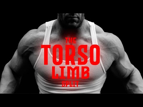 The Best and Worst Training Splits - Torso and Limbs!