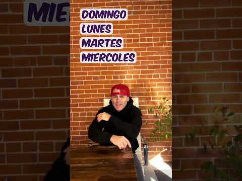 Learn Spanish Quickly with this Catchy BASHO & FRIENDS Song!