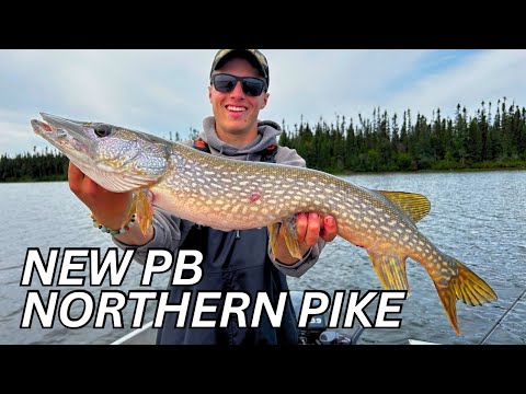 Edgar Lake, Ontario. Fly-In Northern Pike. DAY 3