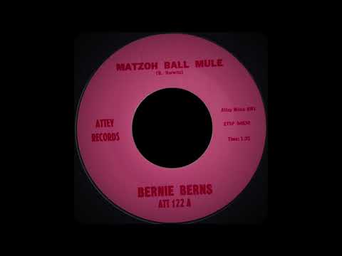 Bernie Berns - Matzoh Ball Mule (Attey 122, 1964)