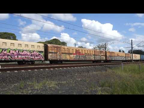 SCT004 & SCT003 with SCT Logistics 3BM9 - 8/2/23
