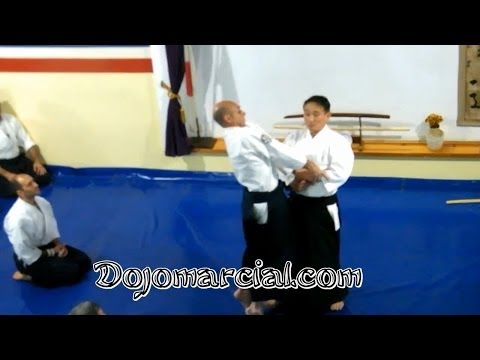 Shiho nage - Yoshiaki Yokota Shihan, 7mo Dan Aikido - Jefe de Instructores de Aikikai Japón