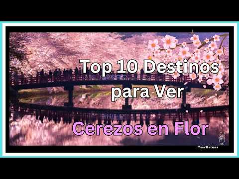 La temporada de floración de los cerezos en Japón ha comenzado 10 días antes de lo habitual