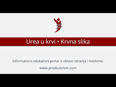 Urea u krvi • Krvna slika