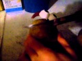 Violent Potato Head Fail