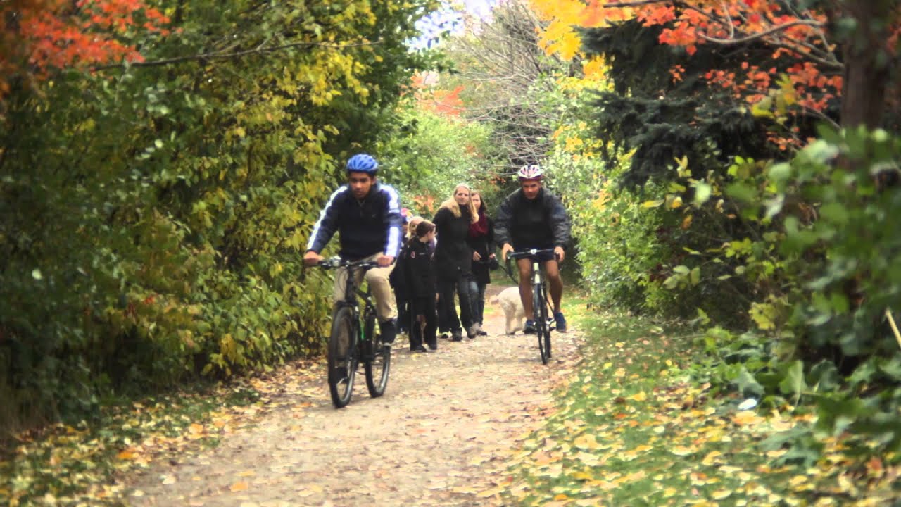 Cycling on trails 