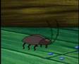 Spongebob 300