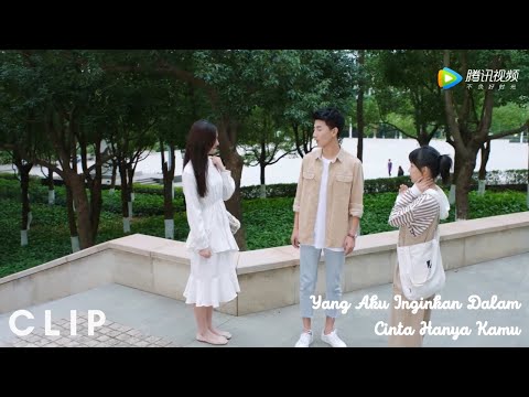 Clip EP09 Cinta segitiga | Yang Aku Inginkan Dalam Cinta Hanya KamuINDO SUB