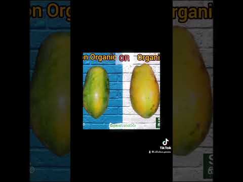 පලතුරු තෝරගන්න දන්නවද ? #dilshan #sft #technology @SFT_Dilshan #fruit #organic #alevels #2025 #ET