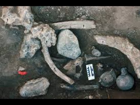 Cerutti Site, 100,000+ Y.O. Human Activity & The Mastodon In The Room